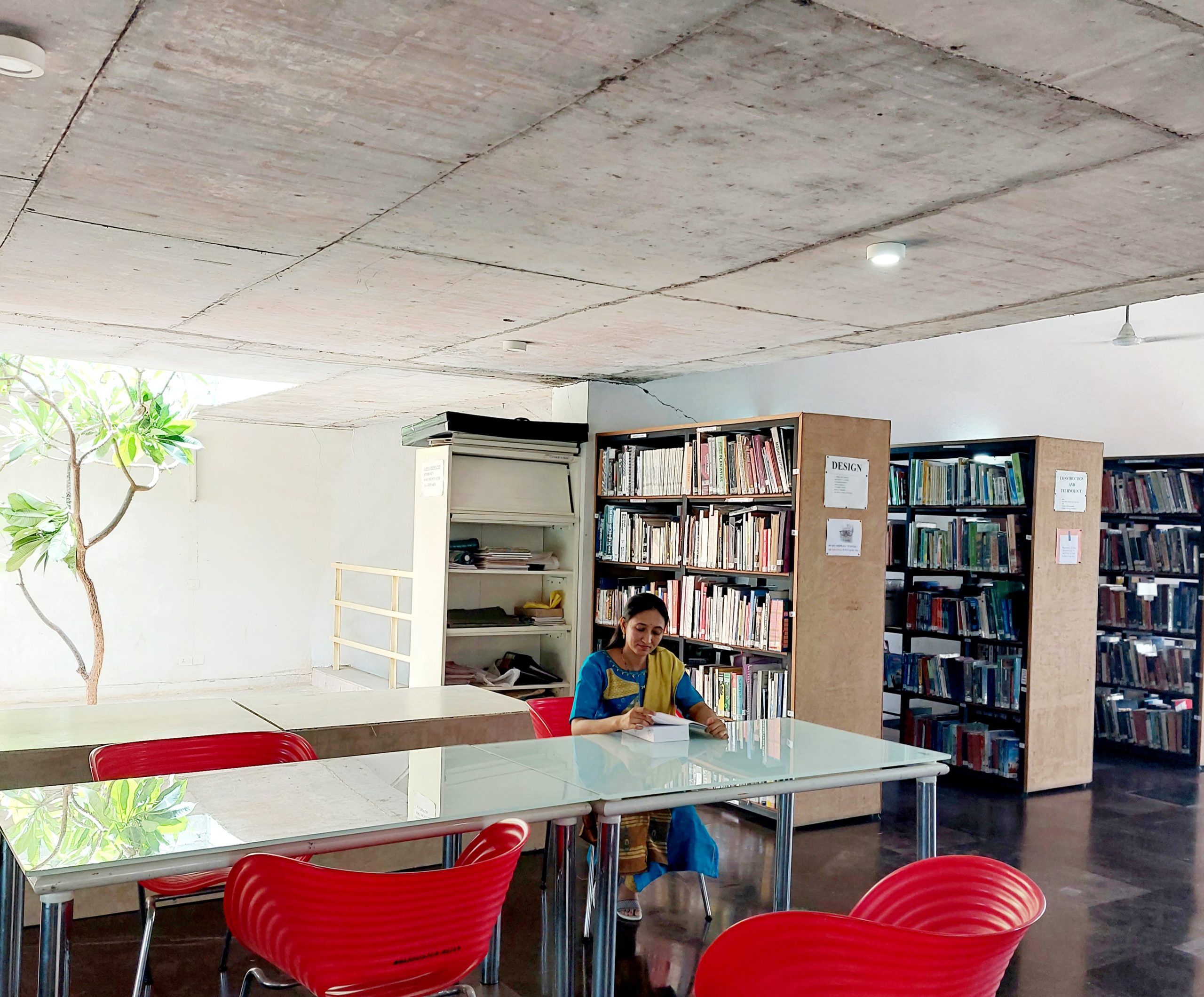 Library (1)